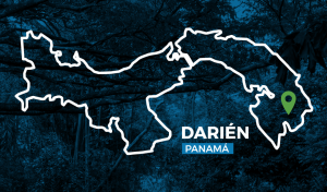 Infografía: Región del Darién, Panamá. Territorio en resistencia y resiliencia.