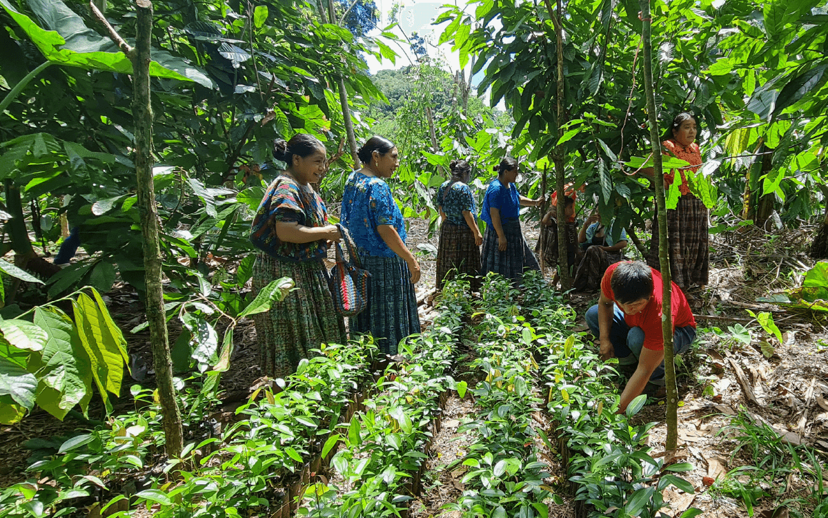 Intercambio en Alta Verapaz, Guatemala