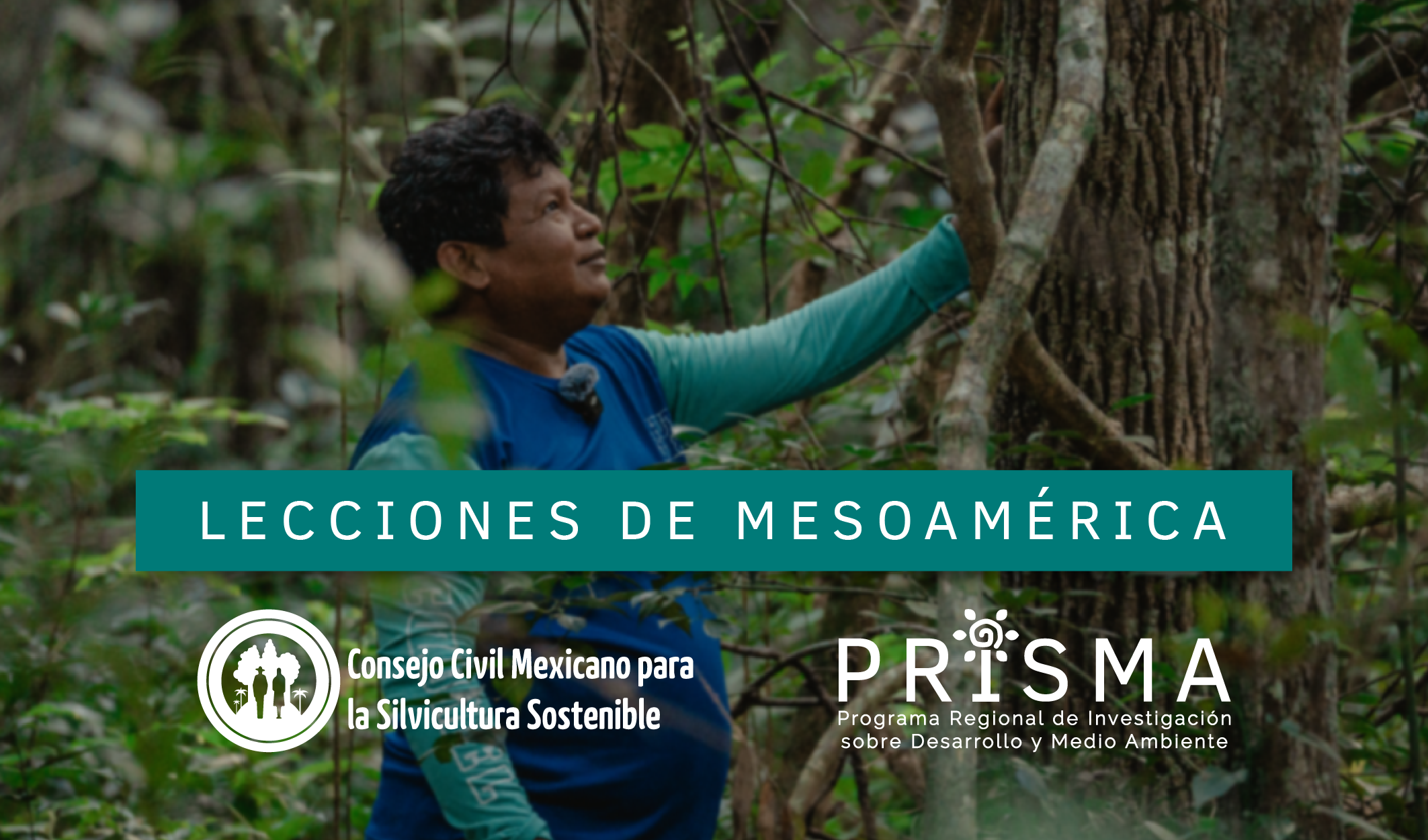 Detener la deforestación requiere gobernanza territorial